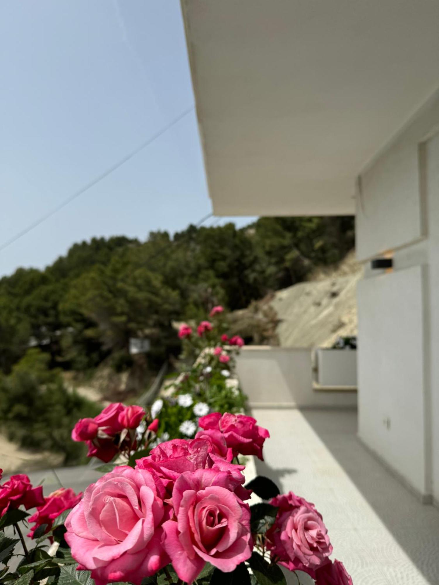 Villa D Hotel-Restaurant-Private Beach Durrës Eksteriør billede